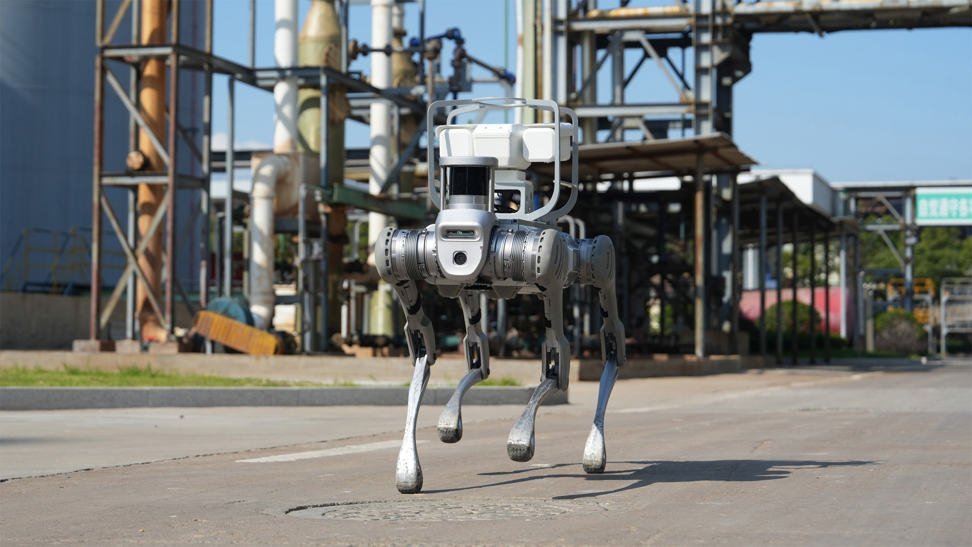 Robotics - Quadruped Robots